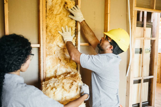 Professional Insulation Services in Fox Crossing, WI